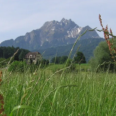 Hotel Felmis