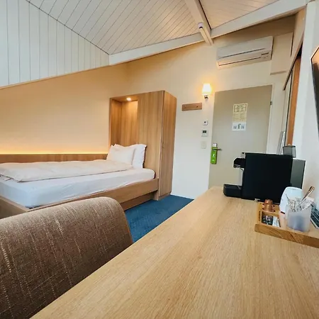Hotel Felmis 3*